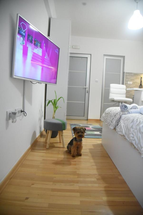Dekart 2 Apartment Ниш Экстерьер фото