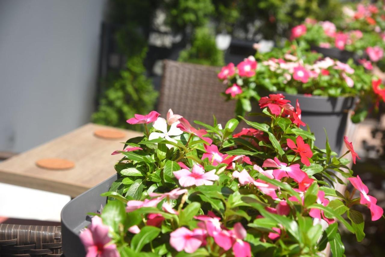 Dekart 2 Apartment Ниш Экстерьер фото